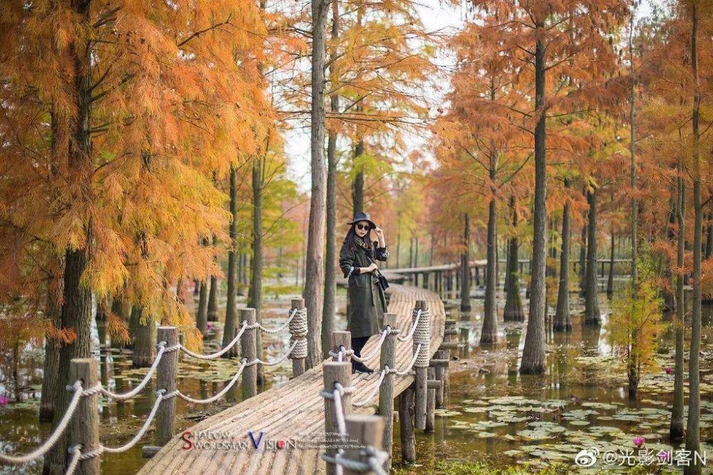 笑脸球的冒险之旅