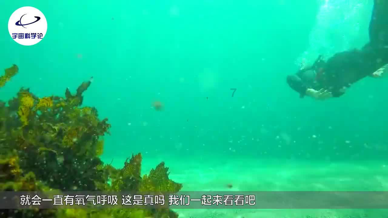 原住民老人救援