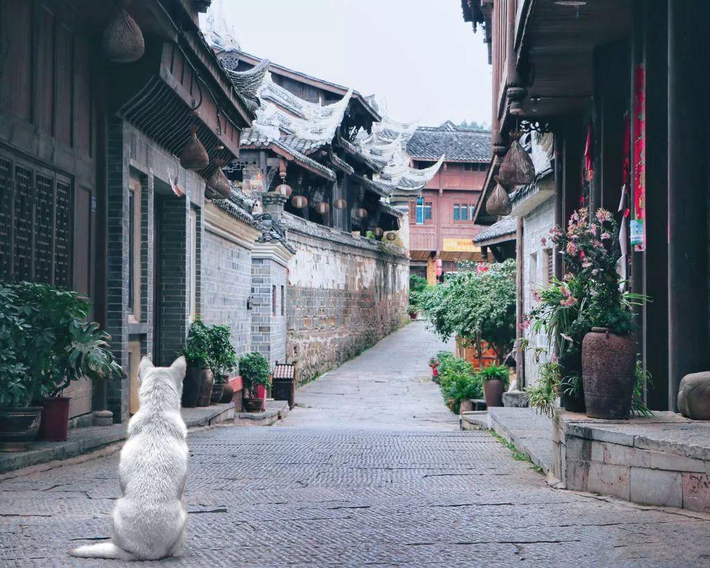 寻找丢失物品